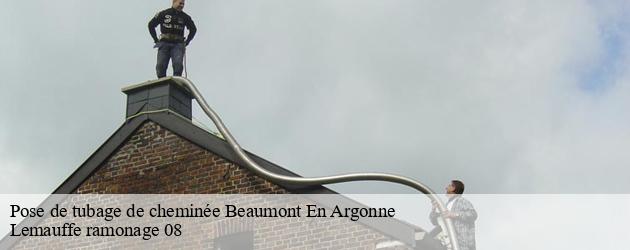 Les travaux de pose de tubage pour les cheminées à Beaumont En Argonne