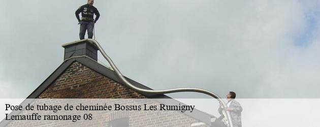 Lemauffe ramonage 08 : un expert des travaux de pose de tubage pour les cheminées à Bossus Les Rumigny dans le 08290