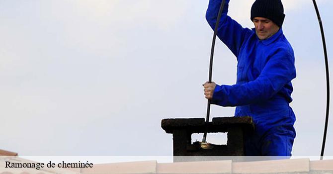 Qui peut effectuer les travaux de ramonage des cheminées à Damouzy dans le 08090?