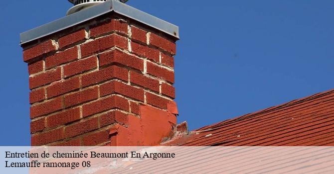Les travaux à confier à Lemauffe ramonage 08 dans le 08210 et ses environs