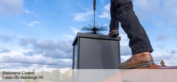 Entretien professionnel de votre chaudière avec le ramoneur Lemauffe ramonage 08