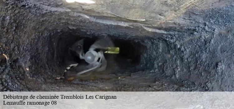 Ce qu'il faut savoir sur les travaux de débistrage des cheminées à Tremblois Les Carignan dans le 08110